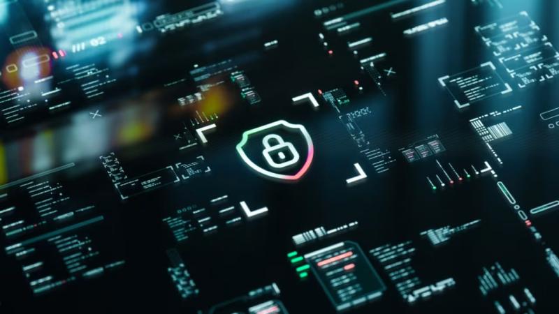 于洪区软件开发公司